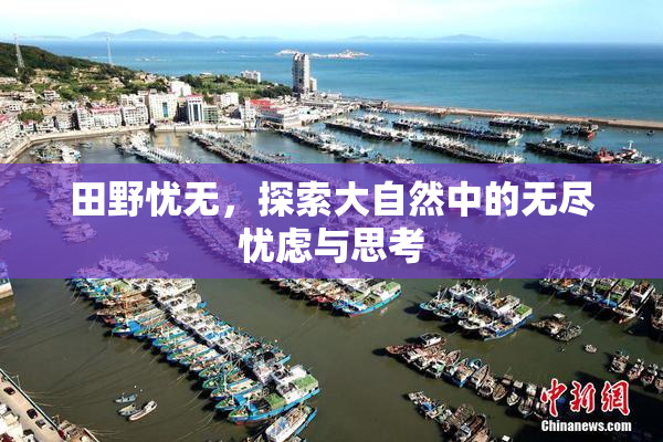 田野忧无，探索大自然中的无尽忧虑与思考
