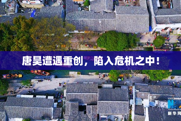 唐昊遭遇重创，陷入危机之中！