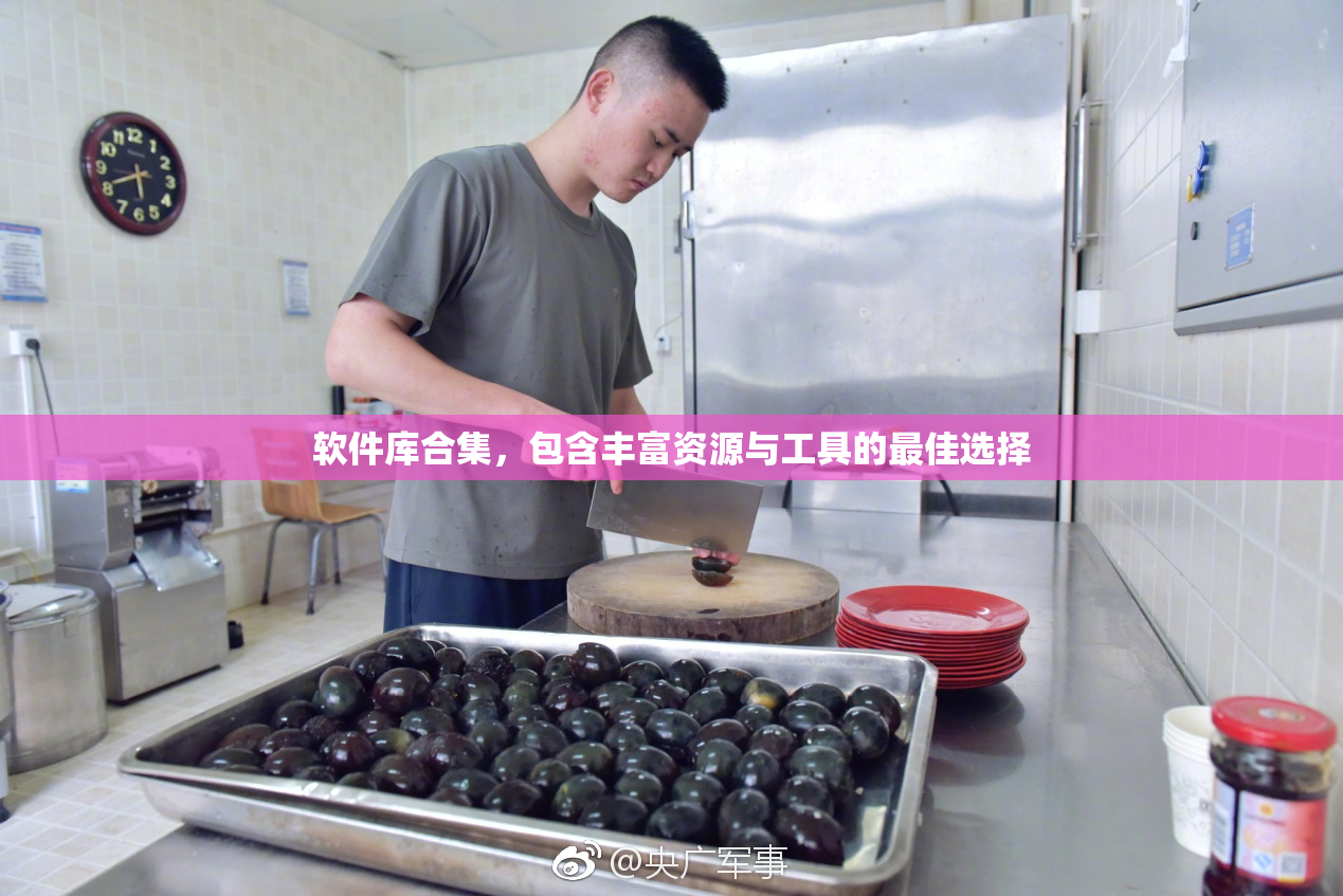 软件库合集，包含丰富资源与工具的最佳选择