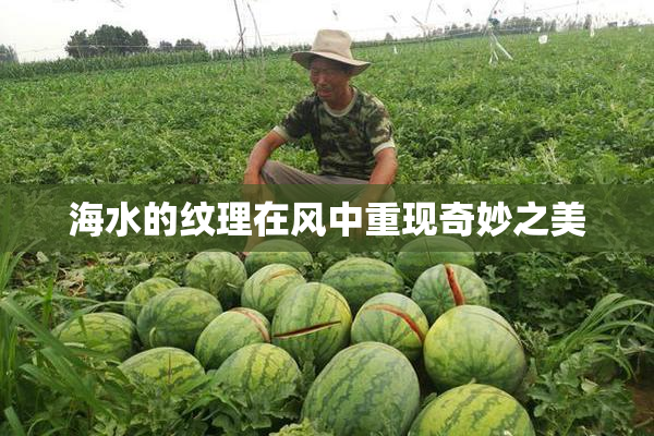 海水的纹理在风中重现奇妙之美
