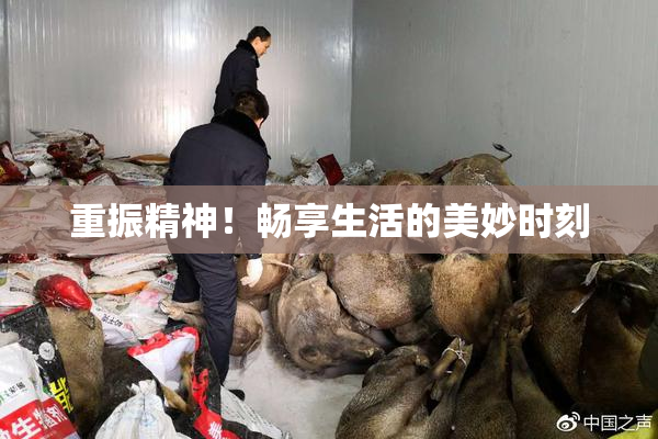重振精神！畅享生活的美妙时刻