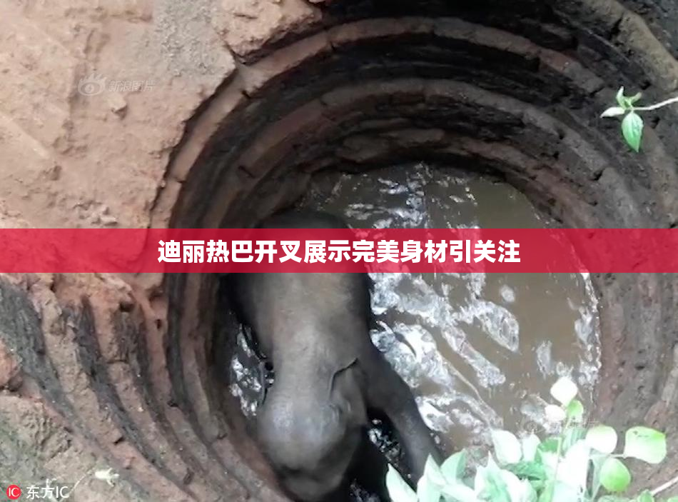 迪丽热巴开叉展示完美身材引关注
