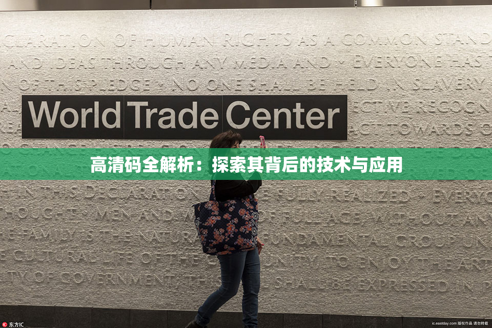 高清码全解析：探索其背后的技术与应用