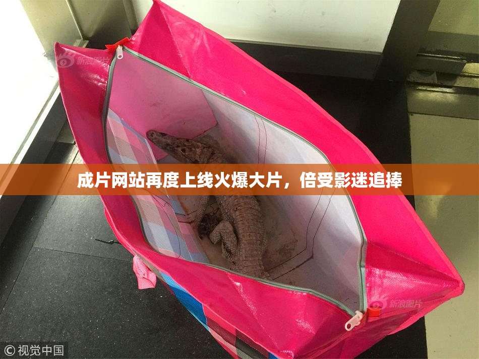 成片网站再度上线火爆大片，倍受影迷追捧