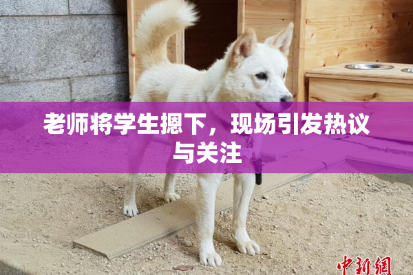 老师将学生摁下，现场引发热议与关注