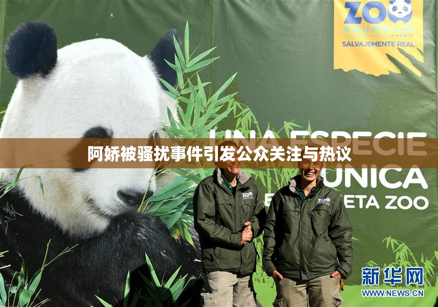 阿娇被骚扰事件引发公众关注与热议