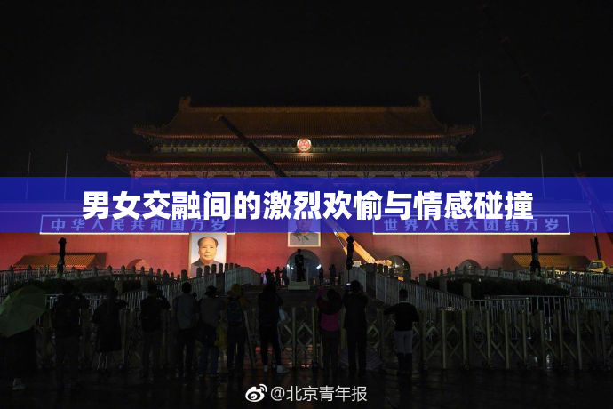 男女交融间的激烈欢愉与情感碰撞