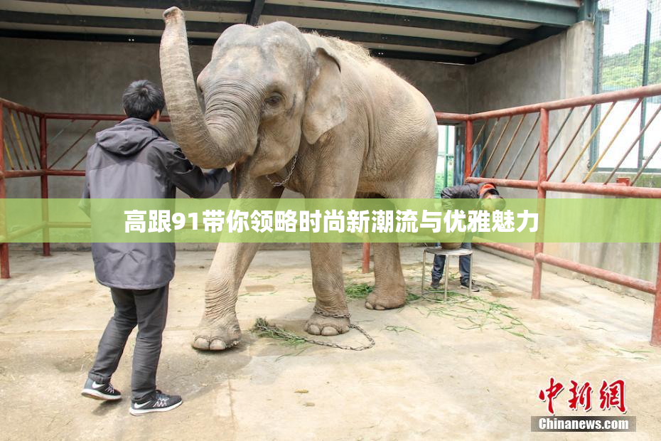 高跟91带你领略时尚新潮流与优雅魅力