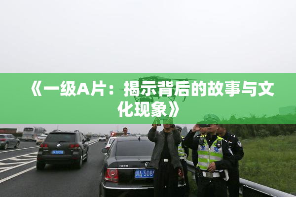 《一级A片：揭示背后的故事与文化现象》