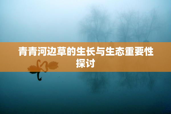 青青河边草的生长与生态重要性探讨