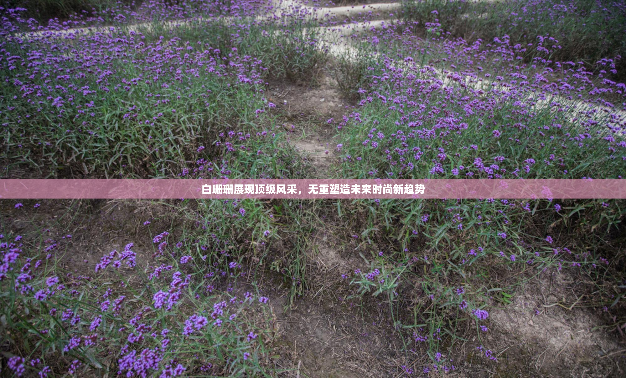 白珊珊展现顶级风采，无重塑造未来时尚新趋势