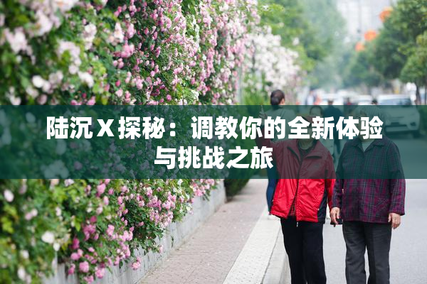 陆沉Ⅹ探秘：调教你的全新体验与挑战之旅