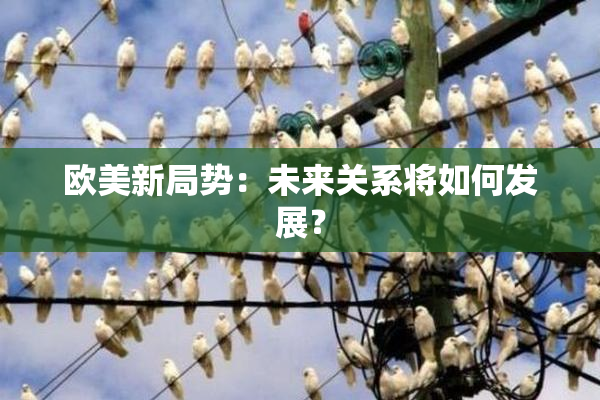 欧美新局势：未来关系将如何发展？