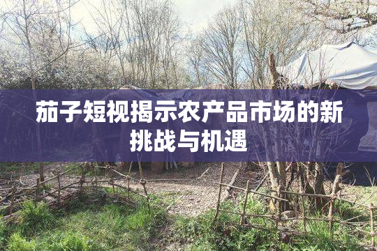 茄子短视揭示农产品市场的新挑战与机遇