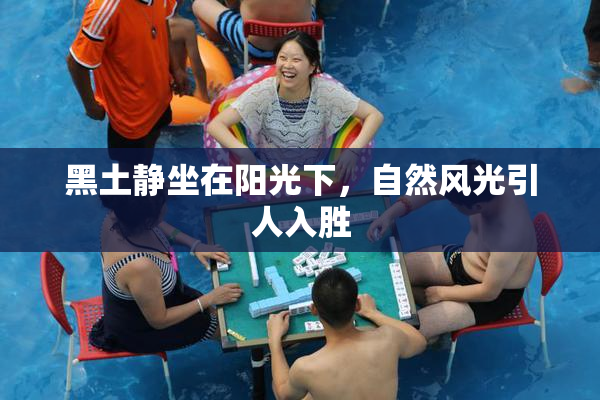 黑土静坐在阳光下，自然风光引人入胜