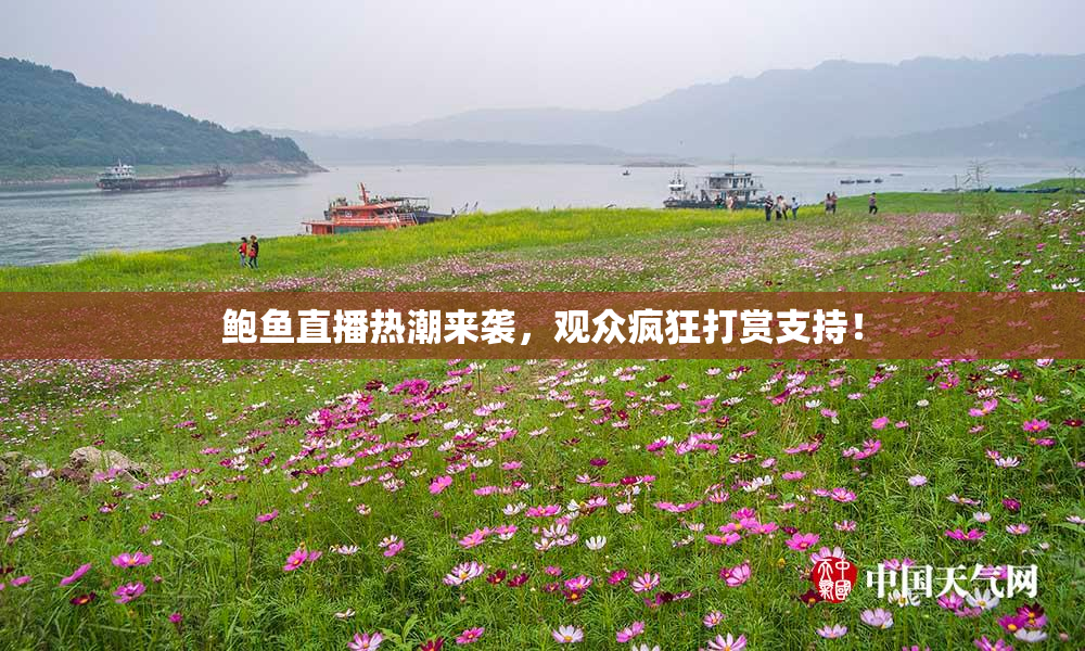 鲍鱼直播热潮来袭，观众疯狂打赏支持！