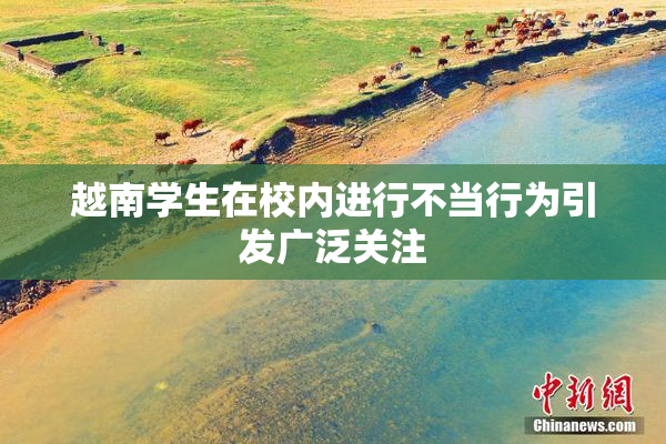 越南学生在校内进行不当行为引发广泛关注
