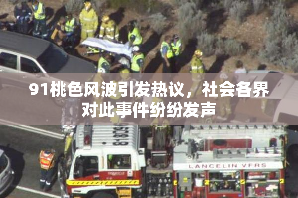 91桃色风波引发热议，社会各界对此事件纷纷发声