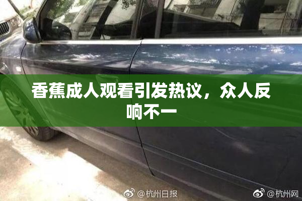 香蕉成人观看引发热议，众人反响不一