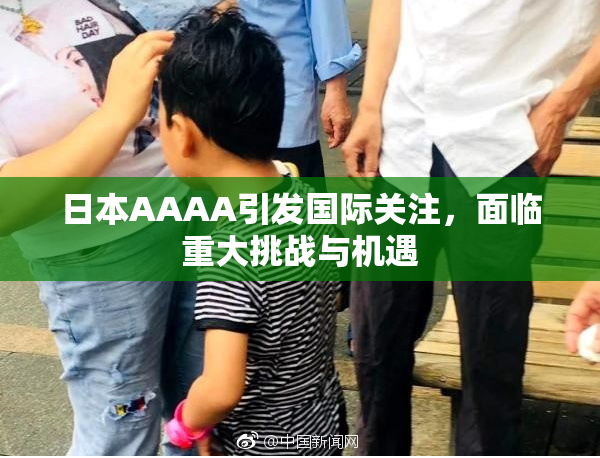 日本AAAA引发国际关注，面临重大挑战与机遇
