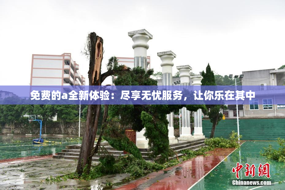 免费的a全新体验：尽享无忧服务，让你乐在其中