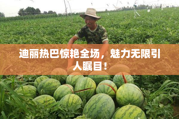 迪丽热巴惊艳全场，魅力无限引人瞩目！