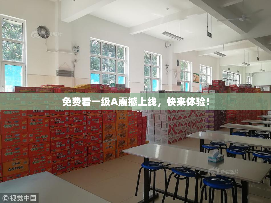 免费看一级A震撼上线，快来体验！