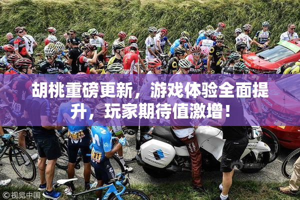 胡桃重磅更新，游戏体验全面提升，玩家期待值激增！