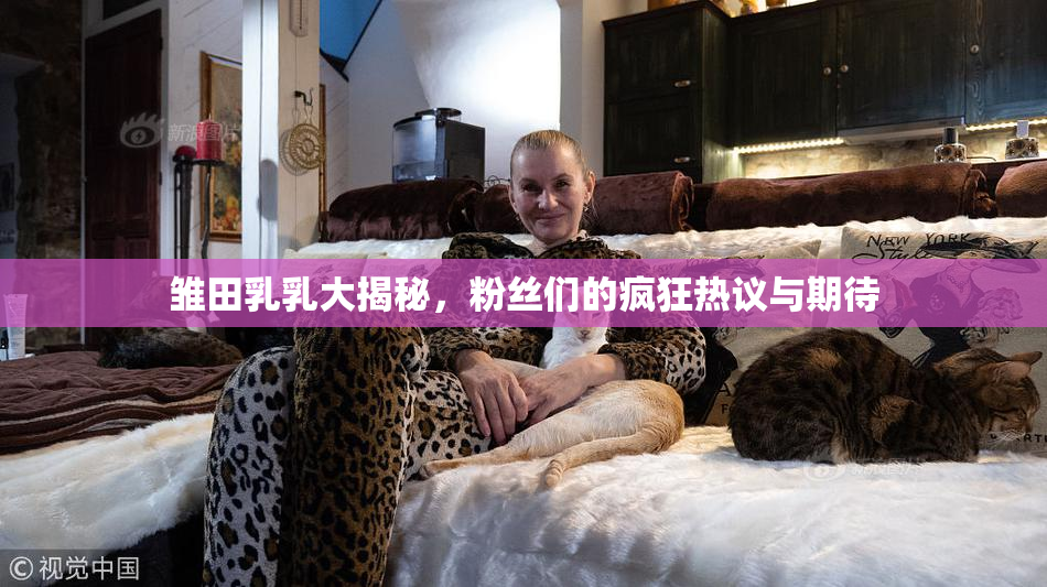 雏田乳乳大揭秘，粉丝们的疯狂热议与期待
