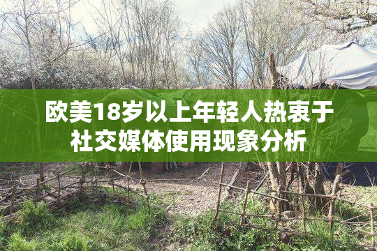 欧美18岁以上年轻人热衷于社交媒体使用现象分析