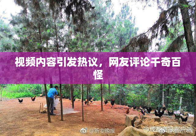 视频内容引发热议，网友评论千奇百怪