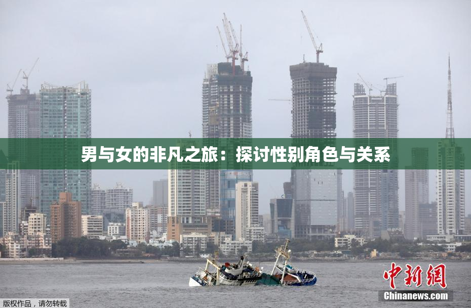 男与女的非凡之旅：探讨性别角色与关系