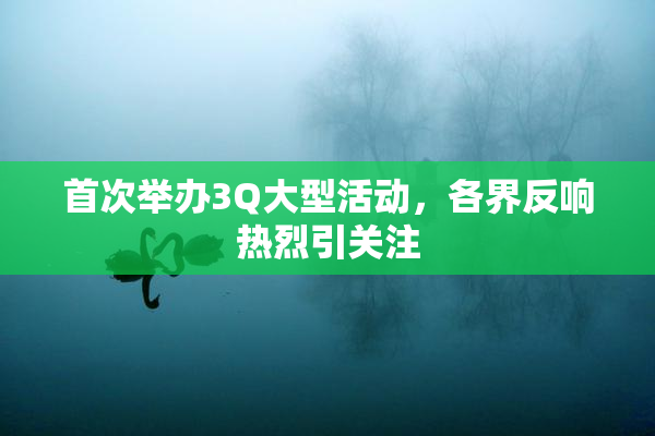 首次举办3Q大型活动，各界反响热烈引关注