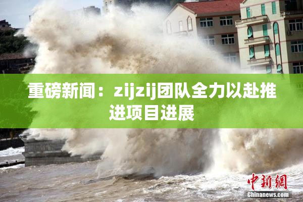 重磅新闻：zijzij团队全力以赴推进项目进展