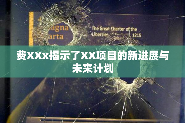 费XXx揭示了XX项目的新进展与未来计划