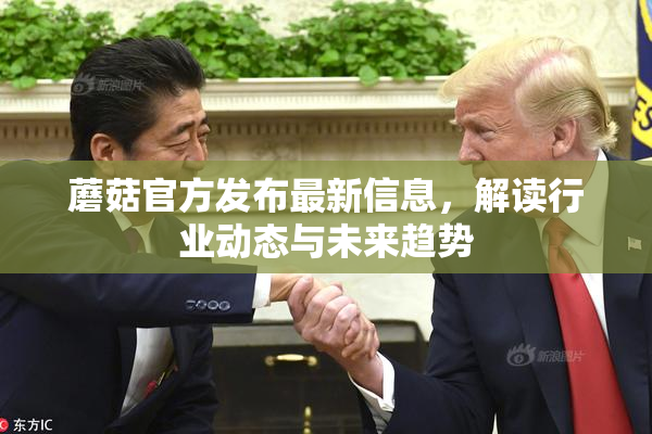 蘑菇官方发布最新信息，解读行业动态与未来趋势