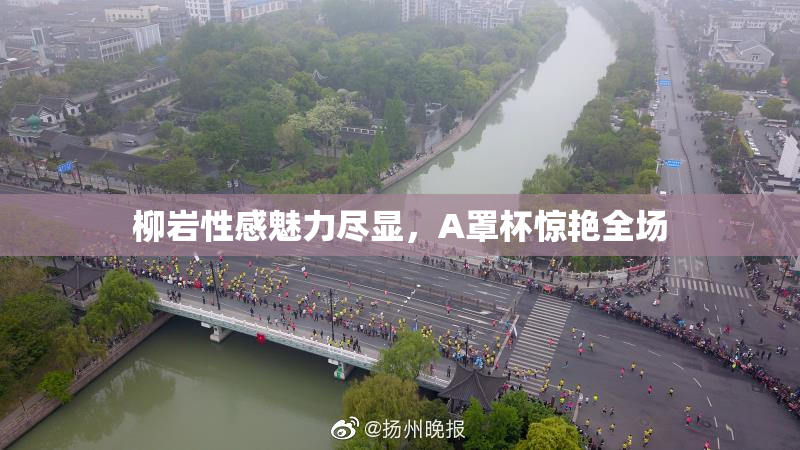 柳岩性感魅力尽显，A罩杯惊艳全场