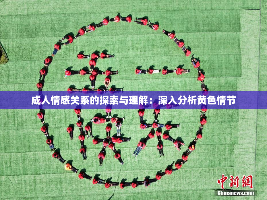 成人情感关系的探索与理解：深入分析黄色情节