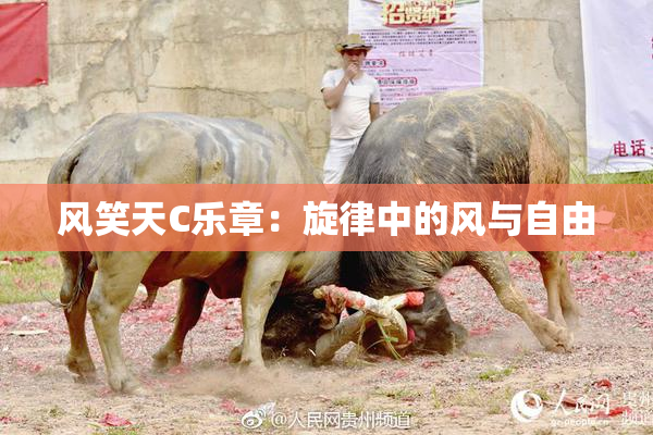 风笑天C乐章：旋律中的风与自由
