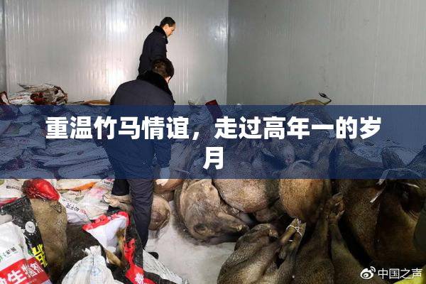 重温竹马情谊，走过高年一的岁月