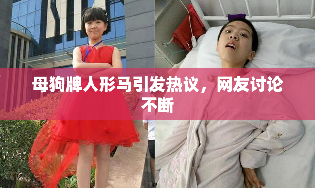 母狗牌人形马引发热议，网友讨论不断