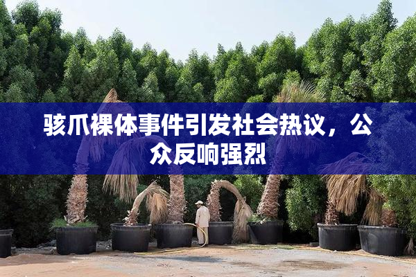 骇爪裸体事件引发社会热议，公众反响强烈