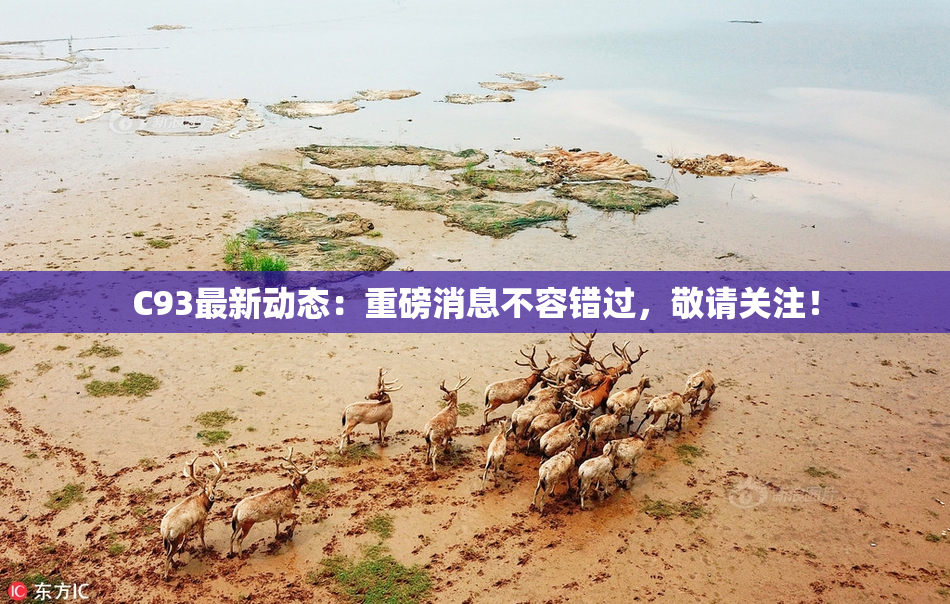 C93最新动态：重磅消息不容错过，敬请关注！