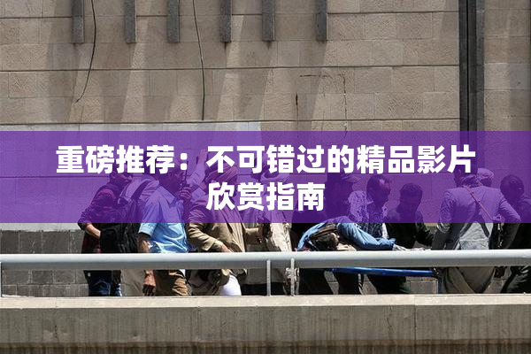 重磅推荐：不可错过的精品影片欣赏指南