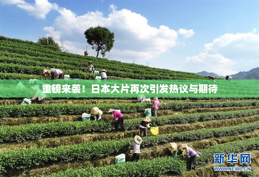 重磅来袭！日本大片再次引发热议与期待