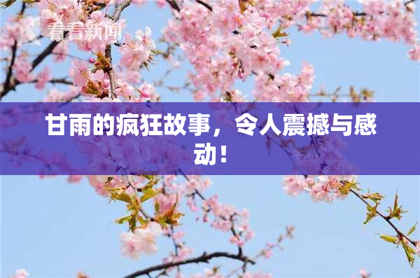 甘雨的疯狂故事，令人震撼与感动！