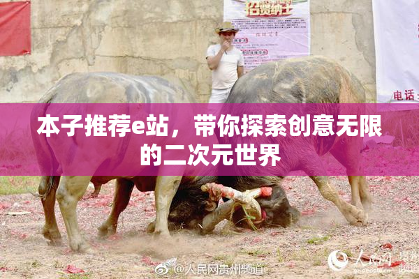 本子推荐e站，带你探索创意无限的二次元世界