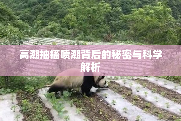 高潮抽搐喷潮背后的秘密与科学解析