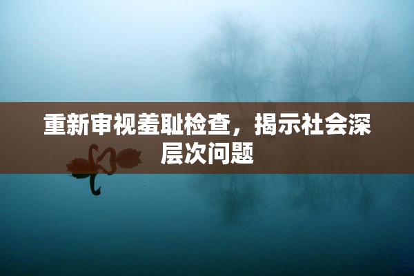 重新审视羞耻检查，揭示社会深层次问题