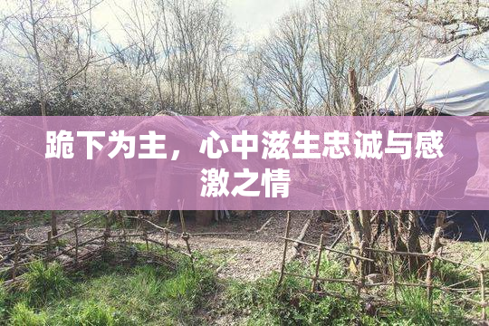 跪下为主，心中滋生忠诚与感激之情